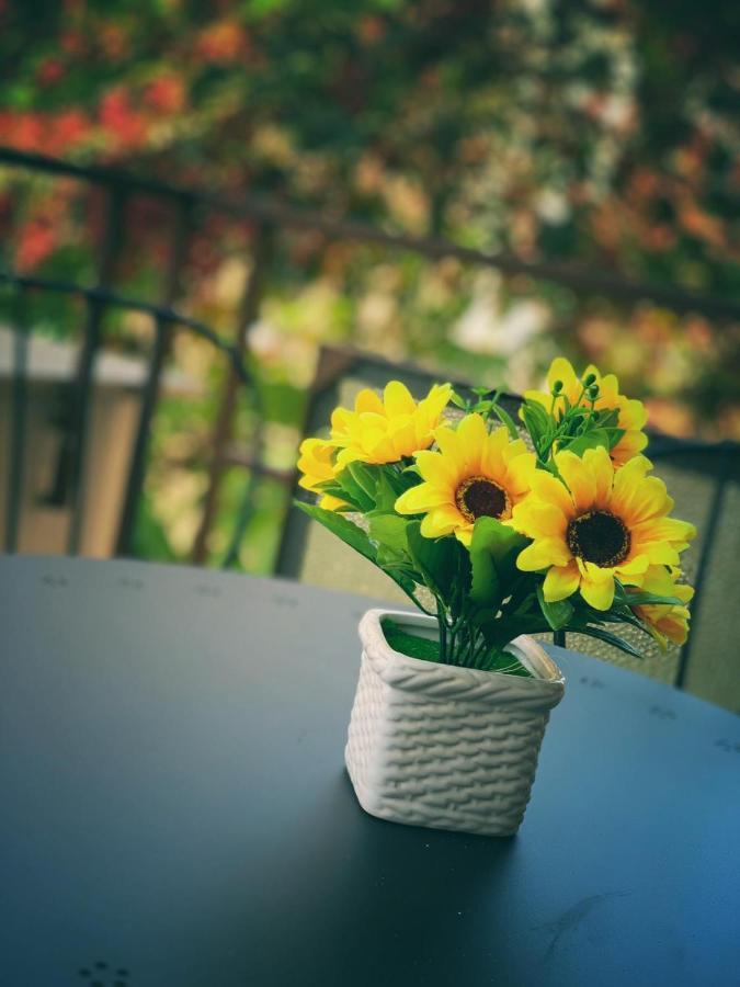 Da Patrizia E Valerio Apartment ปาแลร์โม ภายนอก รูปภาพ